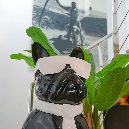 Sunset Pool 卡尔佩